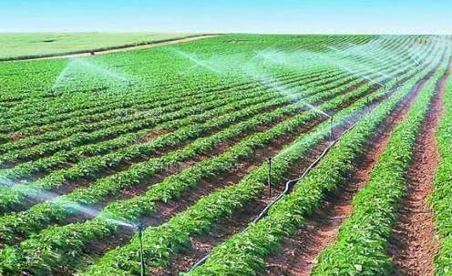 鸡鸡插屁股视频日韩在线免费观看农田高 效节水灌溉